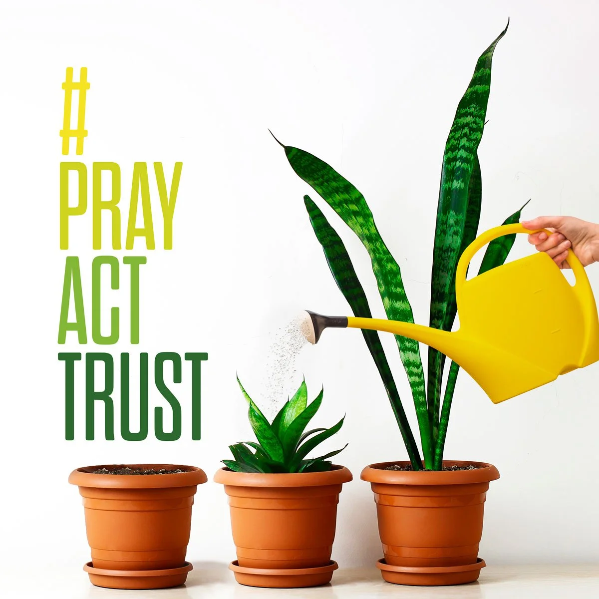 JustServe.org — #PrayActTrust